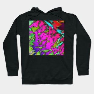 Shattering pink tigers Hoodie